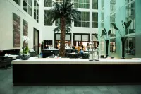 Centro Barsha - bar