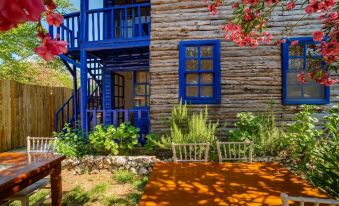 Olympos Forest House - Housity