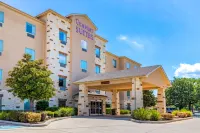 Comfort Suites San Antonio North - Stone Oak Hotels in Stone Oak