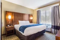 Comfort Suites Hotels in Eufaula