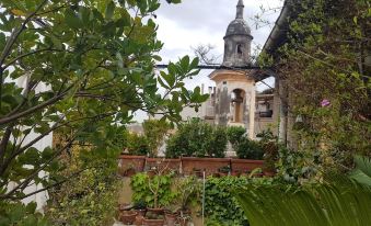 La Terrazza dei Pelargoni B&B