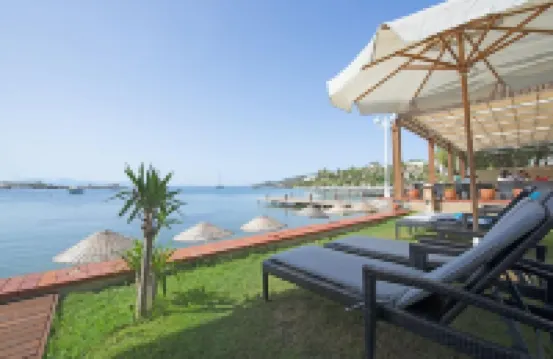 ذا لوفي هوتل – شامل جميع الخدمات