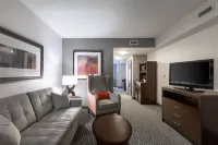 Hilton Garden Inn Lynchburg - WiFi