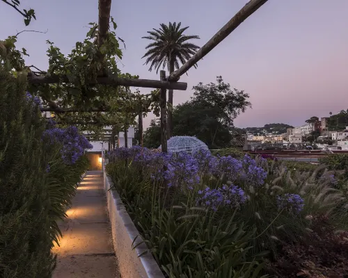 Villa la Pergola Capri Eksterior Photos