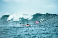 Socialtel Red Frog - Formerly Selina Red Frog Hôtels à : Bastimentos