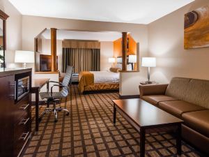 Best Western Inn  Suites of Merrillville