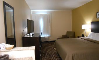 Spark by Hilton Minot