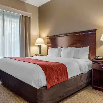Comfort Suites Biloxi/Ocean Springs Hotels near Inner Harbor Park