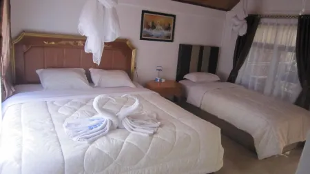 Horas Family Home Отели в г. Samosir Regency