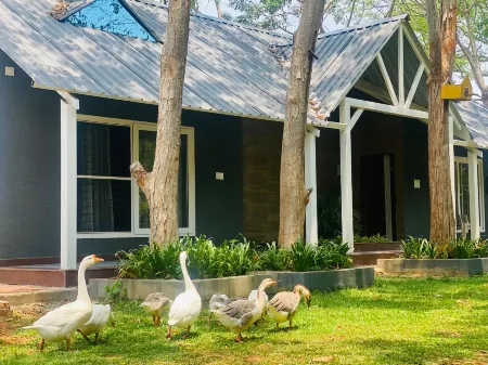 1000 Silvers-Farm Stay Отели в г. Майсур