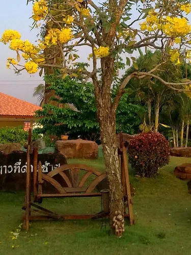 รูปภาพของด่านซ้ายรีสอร์ท