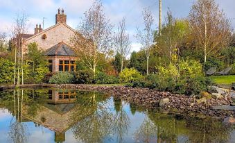 a beautiful house surrounded by a serene garden with a pond , reflecting the surrounding greenery at Blackwell House