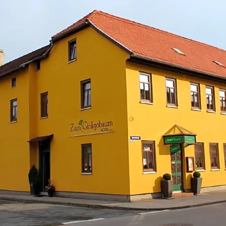 Zum Ginkgobaum