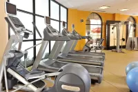 Embassy Suites by Hilton des Moines Downtown - Gym