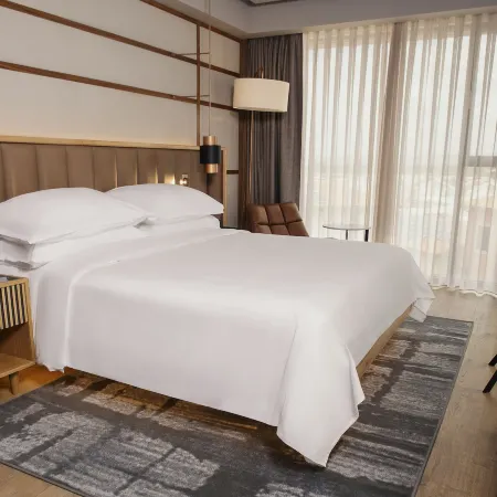 Four Points by Sheraton Prishtina City