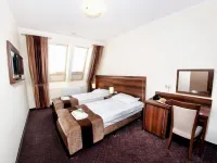 Hotel Austeria Conference & Spa Hotels in Ciechocinek