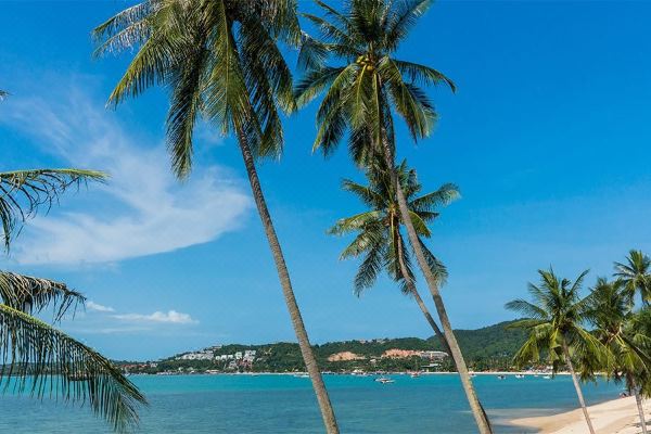 B 하우스 사무이(B House Samui)_2