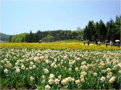 ホテル周辺 みなかみホテルジュラクの写真