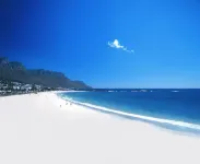Ocean View House