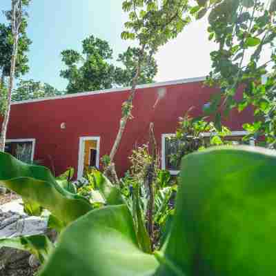 Wakax Hacienda - Cenote & Boutique Hotel Hotel Exterior