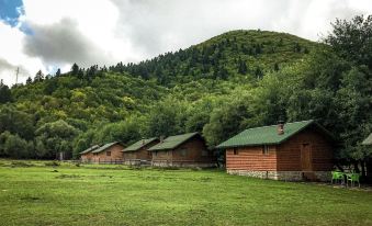 a group of wooden cabins are lined up in a grassy field with trees in the background at Farma Sotira