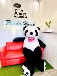 Panda Home @ Cafe Songkhla Hotels in Sathing Phra