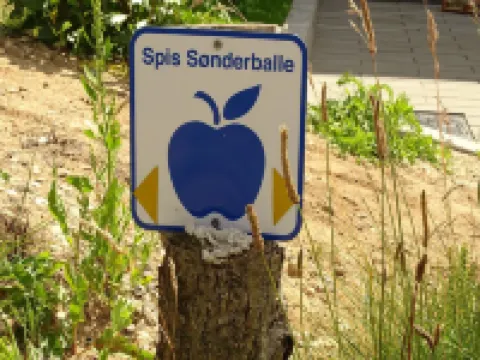 "Veselin" - 100m from the Sea โรงแรมในฮาเดอร์สเลฟ