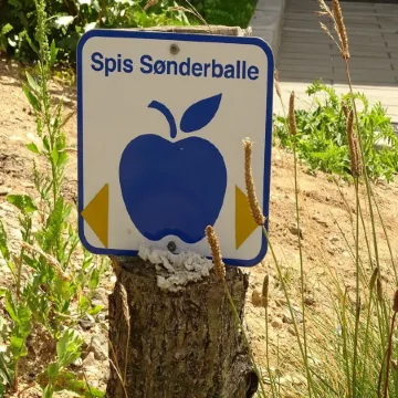 "Veselin" - 100m from the Sea