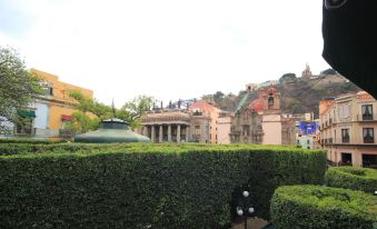 a hedge maze with a view of a building and trees in the background , creating a picturesque scene at Hotel Luna