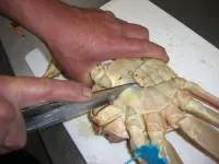 Marubun the Seaside Inn Hotels in Iwami