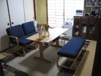 招待所