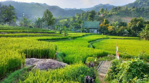 New Riverside Villa Rumah Sawah at Sentul by Yolanda Hotel a Sukamakmur