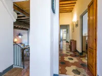 Giuggiolo - Giuggiolo 5