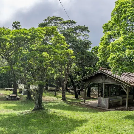 Oppadake Forest Park Camp and Bungalows