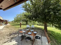 The Mimosa in Historic Villa with Pool and Air Cond in Senigallia