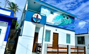 The Surfing Turtle - Housity
