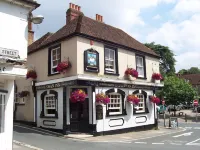 The Swan Inn Hotels in Singleton
