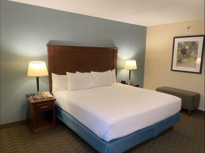 One-Bedroom King Suite-Mobility Accessible Drury Inn & Suites Detroit Troy Photo