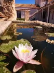 Casa Vacanze Senia Del Rais Hotels in Favignana