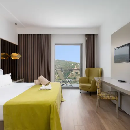 Delfim Douro Hotel