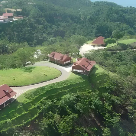 Finca Hamburgo la Ruta del Cafe