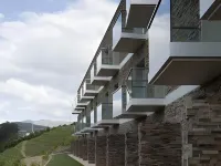Delfim Douro Hotel Hotels in Samodaes
