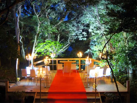 Yakushima Shizukunomori <Yakushima>