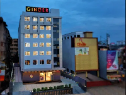 ジンジャー パトナ パトナのホテル