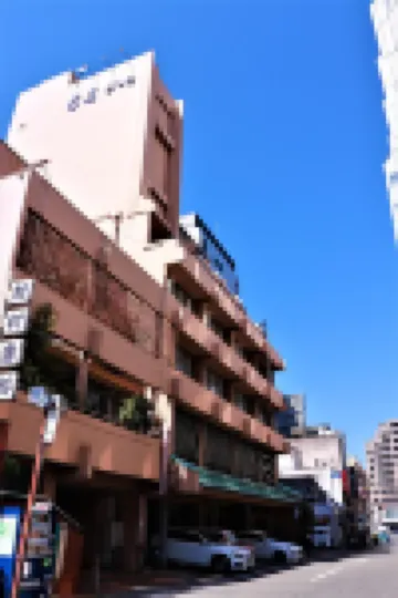 Subaru Inn Yoshino Hotels in 