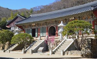 Hotel Ignis Oncheonjang - Housity