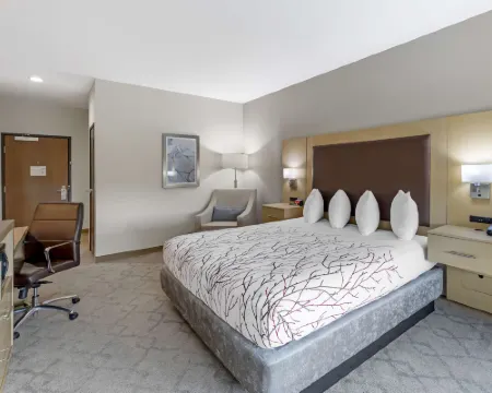 Best Western Plus Chickasha Inn Hoteles en Chickasha