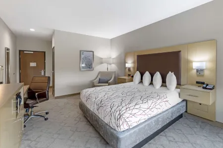 Best Western Plus Chickasha Inn