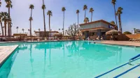 Best Western Date Tree Hotel
