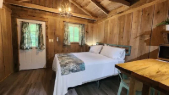 Cozy cabin close to Summersville Lake and the New River Gorge National Park!